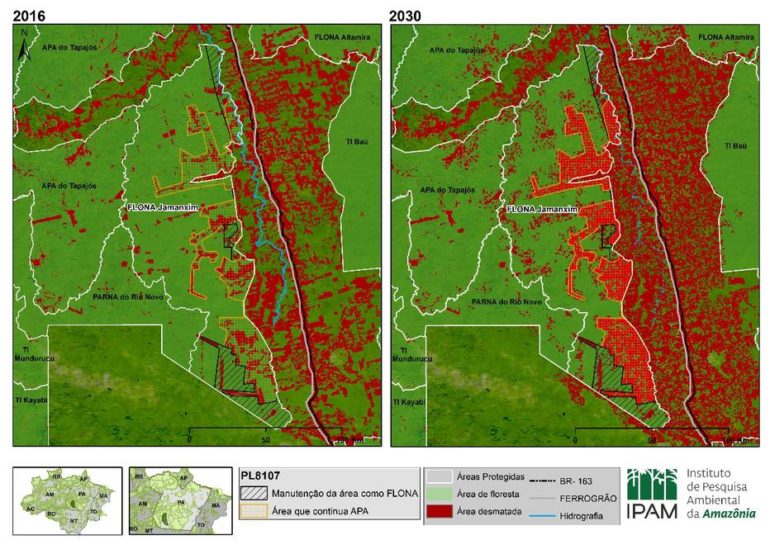 ONG estima que desmatamento em floresta na Amazônia vai dobrar até 2030